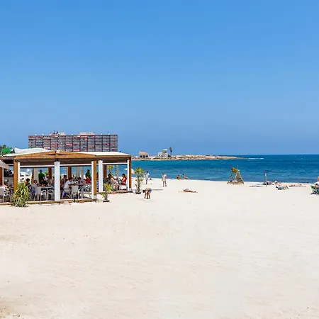 целиком, классная студия, в 3 мин от пляжа 230 м,торревьеха * Torrevieja